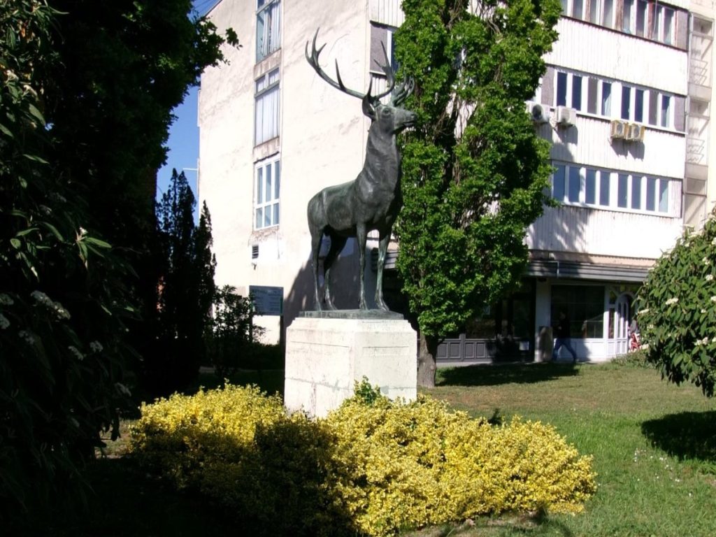 A szarvas-szobor a Szabadság úton